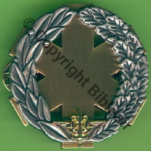 SANTE  GS.234 SECOURISTE BRANCARDIER OR  BOUSSEMART 2010 2Att PINS Dos irreg scintillant  Src.Y.GENTY 8Eur03.20 