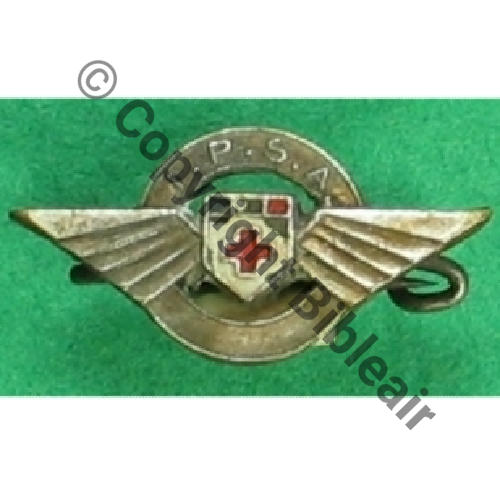 SANTE  IPSA Infirmier Pilote Secouriste  Air PEINT  SM Eping soudee Dos lisse 25mm 72Eur(x2) Src.atectori 
