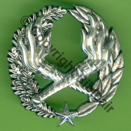 SEO GS.305 BE Brev Element (S.OFF)  BERAUDY VAURE 2Attach PINS Dos scintillant Src.Y.GENTY 15Eur(x10) 