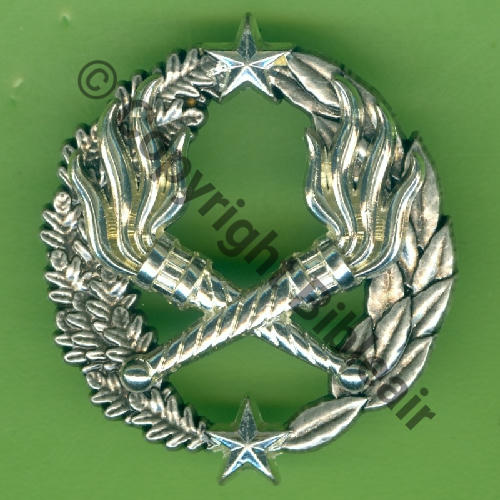 SEO GS.307 DT Diplo Tech (OFF)  BERAUDY VAURE 2Attach PINS Dos scintillant Src.Y.GENTY 15Eur(x10) 