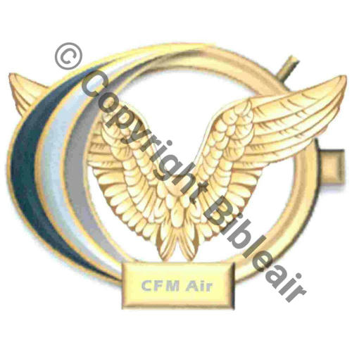 SOCIAL  A1531 MEMBRE CONSEIL FONCTION MILITAIRE AIR PARIS Src.JC.RICHARD 