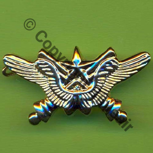 SOL AIR  A1376 Brevet Artillerie SOL AIR  AB.P Griffes et butees Dos granuleux scintillant No958 40mm Sc.GENTY 17Eur(x10) 