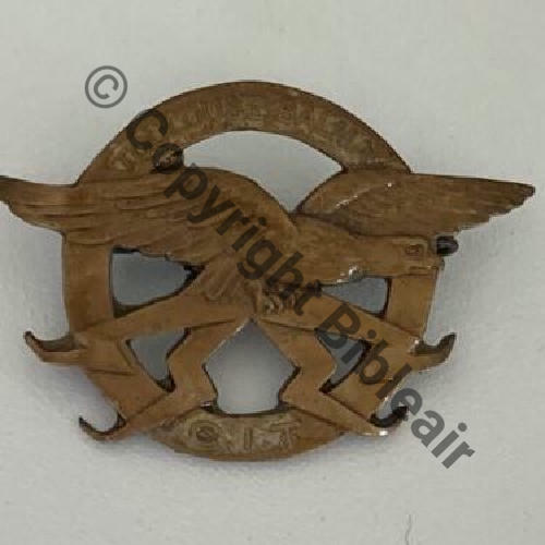 NH  CENTRE INSTRUCTION TRANSMISSIONS TOULOUSE BALMA Tete a droite Eclairs epais  SM Eping nourrice sous demi bol allonge.. Dos lisse irreg Src.elevageduport 18Eur03.23 