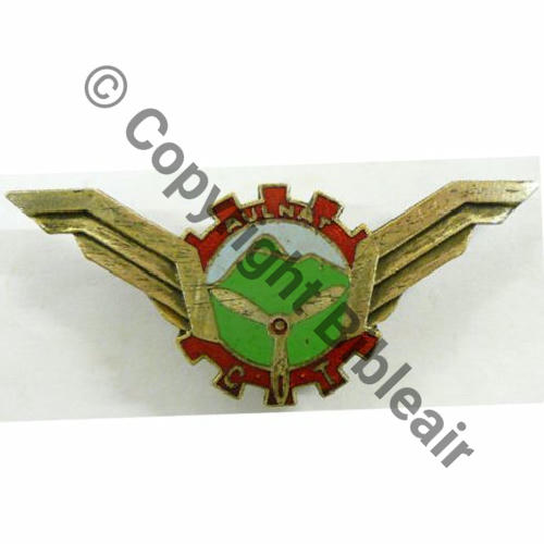 NH CENTRE INSTRUCTION TRANSMISSIONS AULNAT 1945-46 JEANGRAS LEZOUX P. DE D. 2anneaux Grenu DORE CASSEROLE ROUGE Src.lavionamoteur 46Eur01.11 