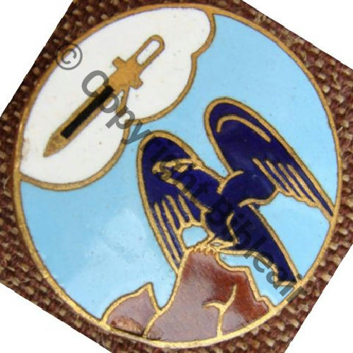 Armée de l'air - INSIGNE ARMEE DE L'AIR GROUPE ECOLE 313 AULNAT