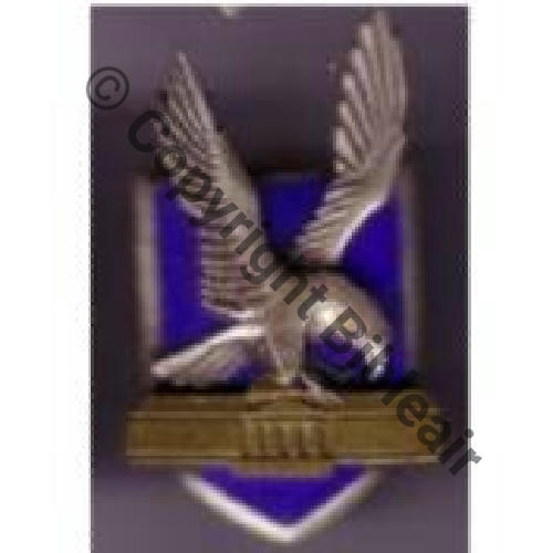 A1075 CESA.335 PARIS  DrP Guilloche