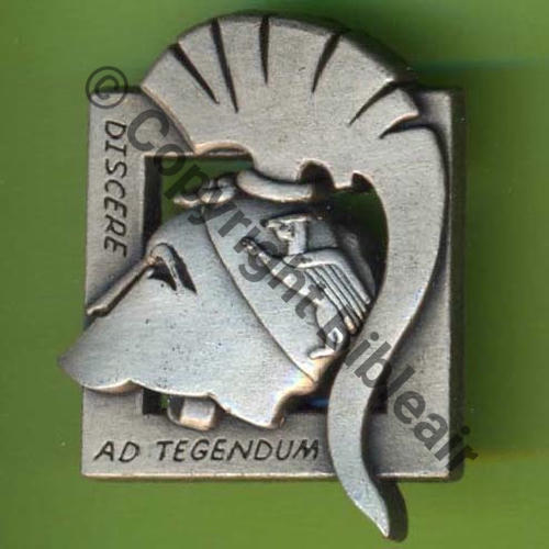 SECURITE A1317 ESCADRON FORMATION COMMANDOS AIR 8.566 DIJON  AB.P Griffes et butees Dos Irreg scintillant 29Eur(x2)  - copie