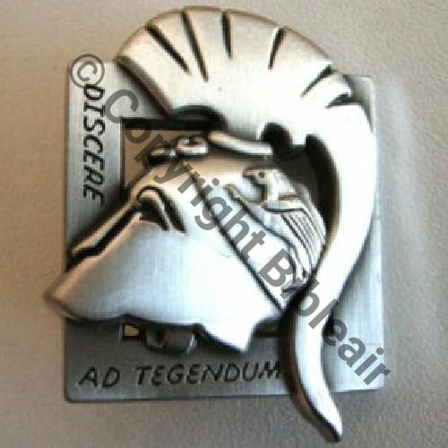 SECURITE A1317 ESCADRON FORMATION COMMANDOS AIR 8.566 DIJON  BOUSSEMART 2011 Griffes et butees Dos Irreg scintillant NH en relief Sc.guy2961 39Eur09.11 