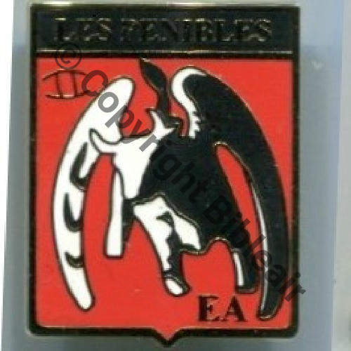NH  ECOLE AIR PROMO EA.EMA 2e brigade Version EA SEULE avant 2015  De Griffes et butees Dos irreg scintillant Src.inconnue  