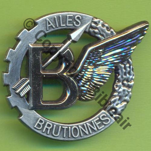 NH Ailes Brutionnes Prepa Air LA FLECHE BOUSSEMART 2010 2Anneaux Dos scintillant Sc.Y.GENTY 16Eur01.12 