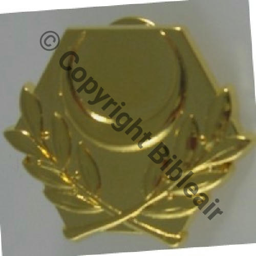 AUMONIER MUSULMAN G4981  AB.P 2Attach PINS Src.lacolo 17EurInv 