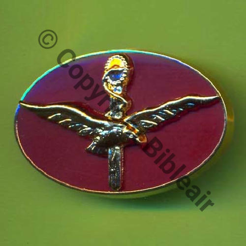 A1334  INSPECTION SERVICE SANTE AA  PARIS   AB.P Griffes et butees Cartouche Dos scintillant 