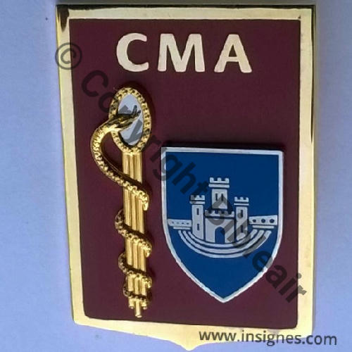 CMA.04 BA.113 G5290 CMA SAINT DIZIER AB Griffes et butees Dos scintillant Src.insignes.com PV25Eur 