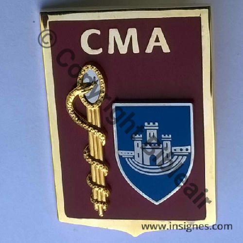 CMA.04 BA.113 G5290 CMA SAINT DIZIER SM (AB) Griffes et butees Dos scintillant Src.insignes.com PV25Eur 