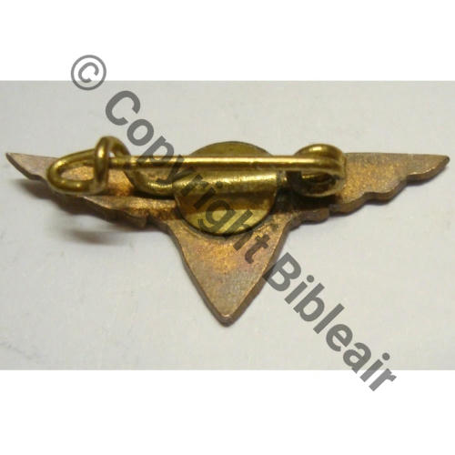 AMICALE ANCIENS ARMEE AIR  SM Bol Dos lisse irreg 30x14mm Src.coualou 12Eur05.26 