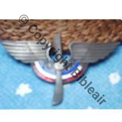 ASSOC  ANSORAA Assoc Nation S.Off Reserv AA 4Eur11.06 