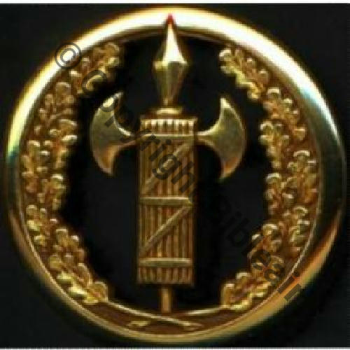 JUSTICE  GREFFIER Militaire Coiffure ou Insigne COINDEROUX 7Eur(x2) 