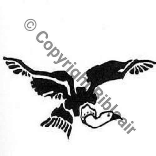 SPA.150 CONDOR PLANANT GC.III.3 1939+ Source collect JJ.LECLERCQ 