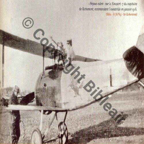 N99 1918-19 NIEUPORT.17  Cne De RICHEMONT Jan.18  Sc.SHAA 
