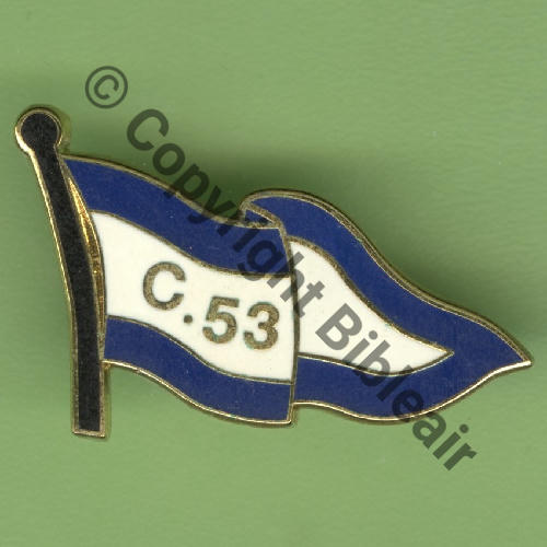 053  2020 A1249 2eDRILLE SPA.Bi 53 ED.2.33 COGNAC 30x20mm  DUSEAUX Griffes et butees Dos scintillant Src.Y.GENTY 23Eur(x11) 