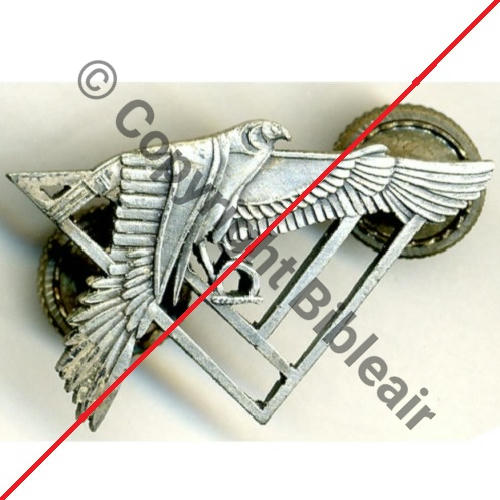 153  ESCADRILLE BELGE  et non A1117NH SPA.153 GYPAETE  SM 46Eur10.05