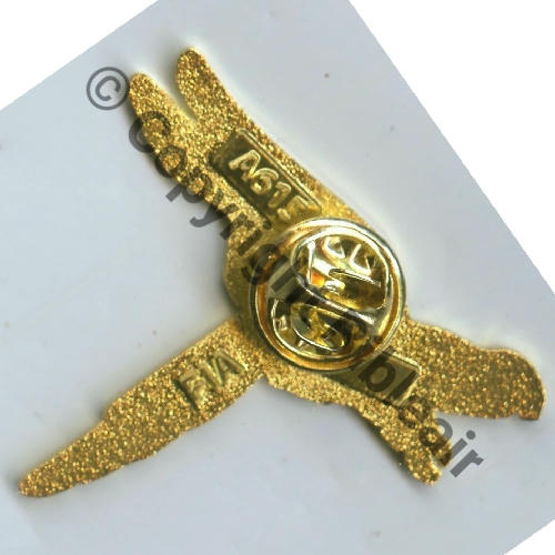 172  A0615 2014 SPA.172 2eDRILLE EIV.2.12 PICARDIE  FIA 1Attache PINS Dos irreg scintillant Src.olivier450 81Eur09.26 