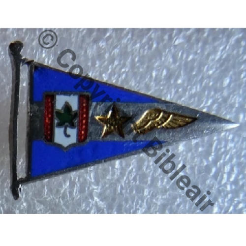 246  1934.40 4e DRILLE BR.246 GR.2.55  A.AUGIS LYON 2 Lign 2Anneaux Dos lisse 22x12mm Src.P.GOUT 226Eur11.25 