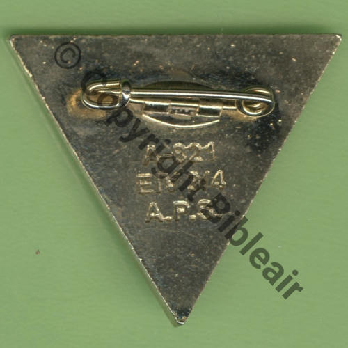 1939  A0821 2012 2eDRILLE EIV.3.4 LIMOUSIN TOURS FENNEC  APS Bol fenetre oval  Dos lisse irreg Scintillant Grave EIV 3.4 Src.Y.GENTY 10Eur06.15 