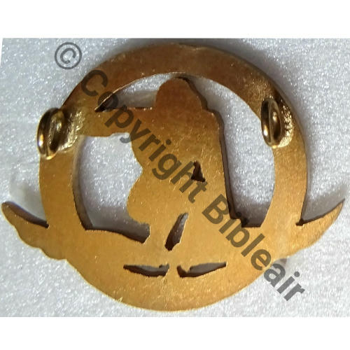 NH  CENTRE PERFECTIONNEMENT AU PILOTAGE AULNAT  SM 2Anneaux Dos lisse irreg GROS GORILLE EVIDE Src.P.GOUT 451Eur04.26 
