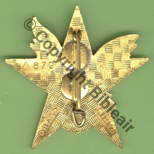 A0879 1eEIV JEAN LANGLET GE.314 TOURS  DrP+DBol Guilloche Email Src.Y.GENTY 7Eur03.17 