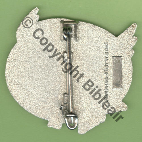 A1407 ESC STANEVAL TOURS   AB Griffes et butees Dos scintillant SNH PRESERIE 2011 Src.Y.GENTY 28Eur(x2) 