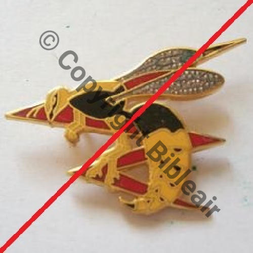 A0527 SPA.89 COPIE CUICH 2e Drille 1.12 GUEPE  SM Bol fenetre oval tronque Dos lisse Src.doudou2856  56Eur07.13 