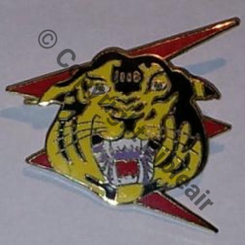 A0528  1980+.. A0528  SPA.162  1.12 TIGRE SM Bol fentre oval tronque Dos irreg scintillant No sur Plaque P214 SNH RESINE OEIL NON CLOISONNE Src.videdressing.. 207Eur03.13 