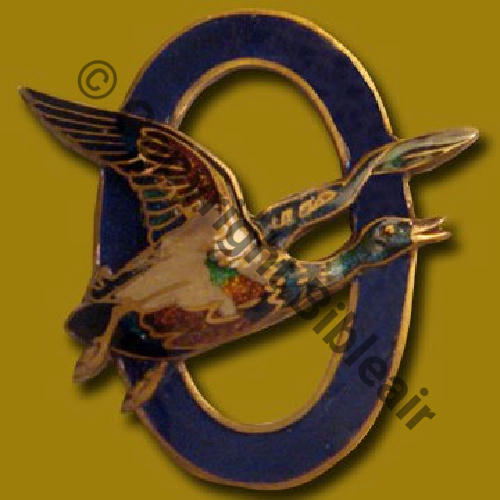 A0593  1930.33 A0593NH SPA.93 CANARD EN VOL 10eDRILLE 3eRAC SM Dos lisse irreg  Src.A.DENIS 