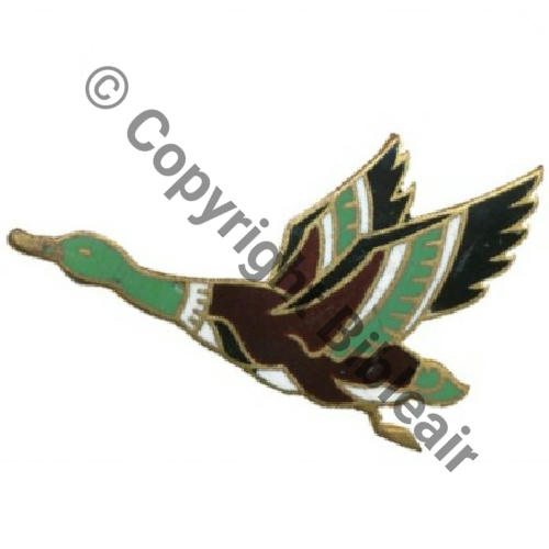 A0593  1970 circa A0593 SPA.93 CANARD 2eDRILLE 1.10 puis 1.30  CANARD  DrP Eping nourrice Guilloche EmailGF SNH Src.insmili 105Eur10.10 
