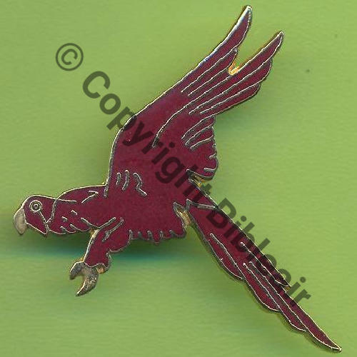 A0615 SPA.172 2eDRILLE EC.2.12 PICARDIE  SM Tambour Etoiles scintillant Src.Y.GENTY 64Eur(x9) 