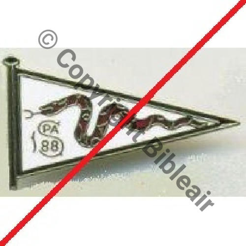 A1108 COPIE PROBABLE SPA.88 1eDrille 3.11 SERPENT FANION  SM Tambour Dos Quadrille fin SNH Sc.wgolan 33Eur(x2)