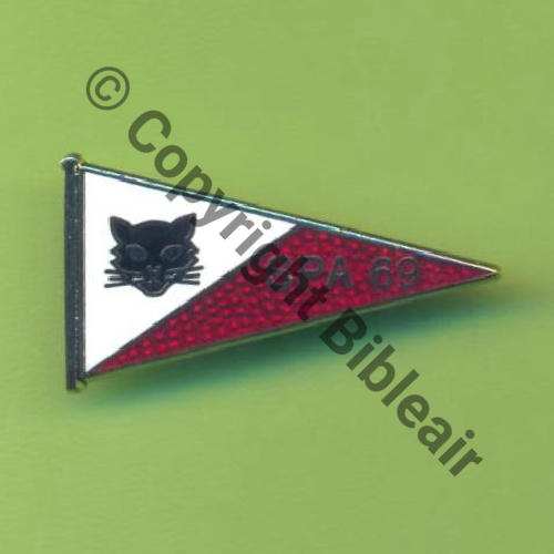 A1109  2014  A1109 SPA.69 2eDrille 3.11 DJIBOUTI TETE CHAT FANION  APS Bol fenetre oval Dos quadrille fin vrac scintillant 32x18mm Src.Y.GENTY 41Eur(x2) 