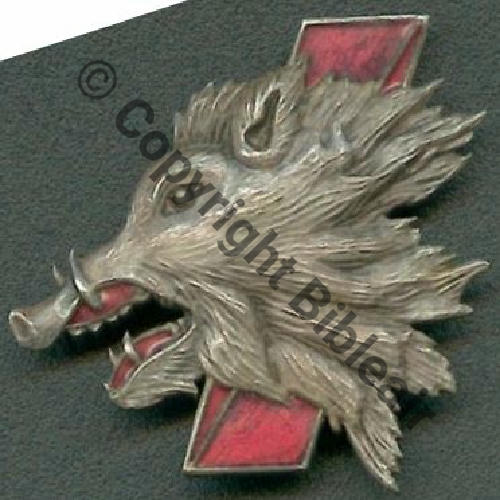 A1115 1950.. A1115NH 2eDrille 3.3 SANGLIER ROUGE  A.AUGIS LYON 1Li Bol papillon Double Fenetre Dos lisse Embouti Sc.JJ.LECLERCQ 73Eur11.09