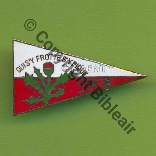 A1123  1980+ A1123 SPA.38 2eDRILLE EC.3.7 LANGUEDOC  INSIGNIA Tambour Dos scintillant SNH 35x20mm Src.Y.GENTY 42Eur06.07