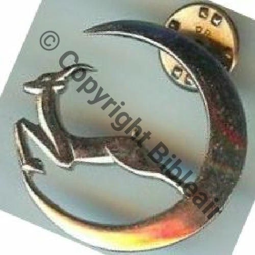 45 NH GLA.45 BOUFARIK  DrP SM Drago sur Attac PINS  Src.dixmude 20EurInv 