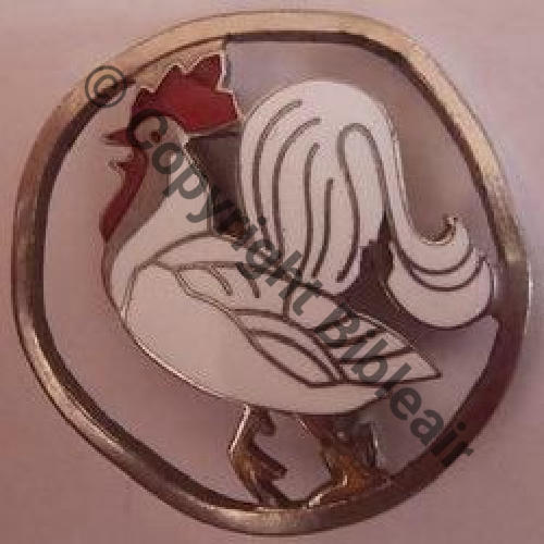 36.1.1  1936.39 1eDRILLE SAL.58 GR.1.36  SM Bol fenetre Dos lisse Src.airik1985 Eclat email 86Eur05.13 