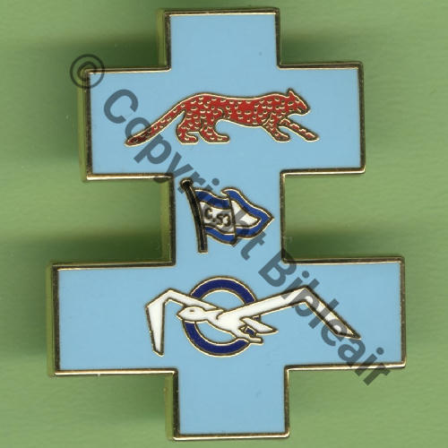 33.2  2021 A1533 ESCADRON DRONES 2.33 SAVOIE COGNAC  DUSEAUX Griffes et butees Dos scintillant Src.Y.GENTY 15Eur(x10) 