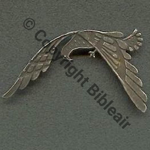 545  1937.38 GAR.545 1938.40 GAO.545 ST.JEAN ANGELY  SM Bol Dos lisse irreg Patte demi palmee Sc.JJ.LECLERC 200Eur07.09