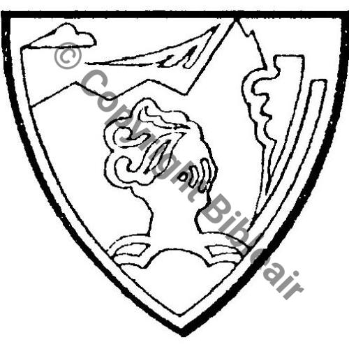 546 GAO.546 PAU SM