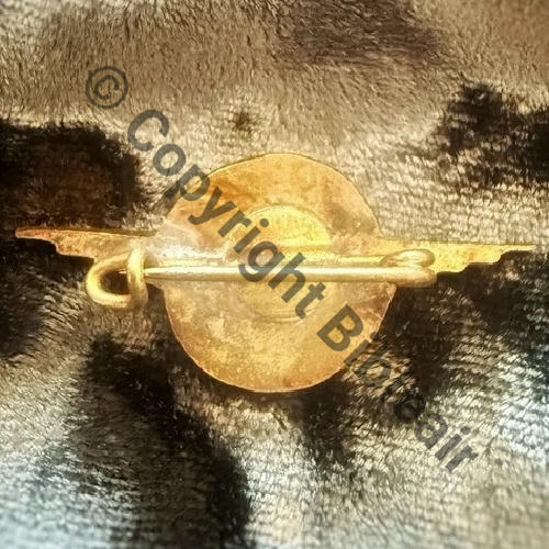 CAR.18  CERCLE AERIEN REGIONAL BORDEAUX  SM Bol Dos lisse irreg  Src.leberetvert 237Eur(x3) 