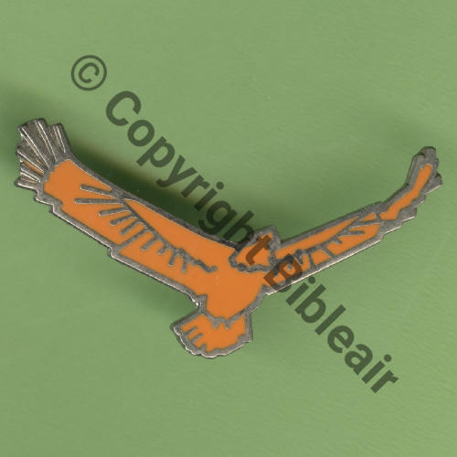 NH SAVV AMBERIEU  SEGALEN 1Attac US Multi cartouche Src.Y.GENTY 