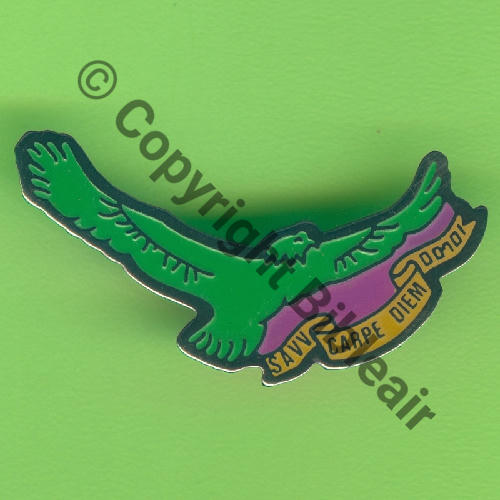 NH SAVV SALON CARPE DIEM  UNIVERS PUB 1Attach PINS Dos lisse Src.Y.GENTY 17Eur01.23 