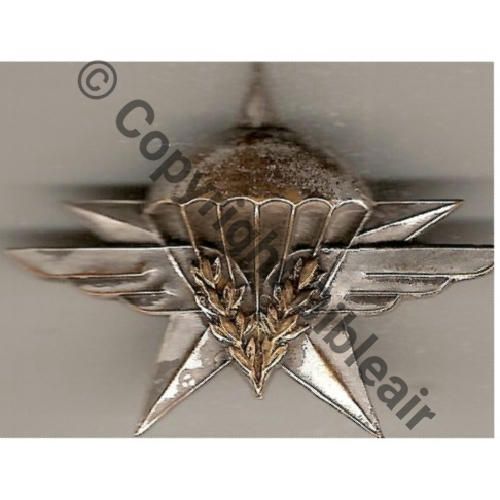 NH   1eRCP 1945 ARMEE AIR... Type3  AUGIS SM Bol fentre allonge grave AUGIS LYON  Src.mian04nou 118Eur(x2) 