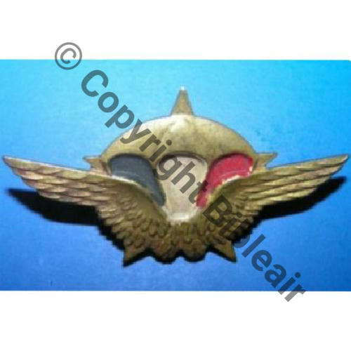 NH Bat Commando Para Air. 1er.RCP 1944 peint 50x25mm Fab GB... SM Bol Dos lisse Embouti  Sc.commandodelair  72Eur(x2) 